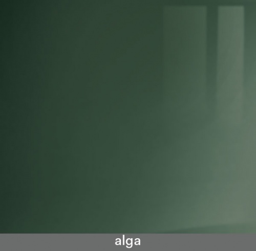 alga